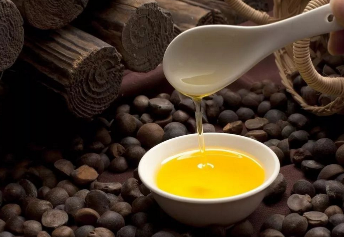 企鵝牌茶籽油雙螺桿榨油機(jī)<div   id=